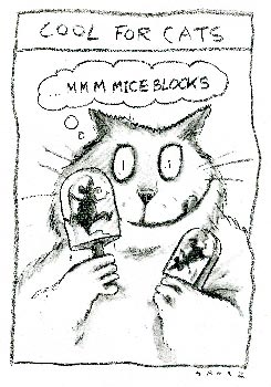 Cool for cats