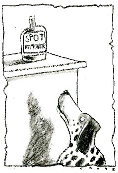 Spot Remover