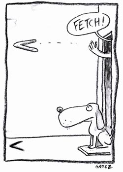 Fetch